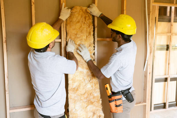 Types of Insulation We Offer in Dunlap, IL